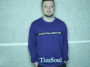TimSoul