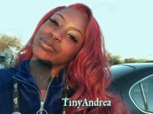 TinyAndrea