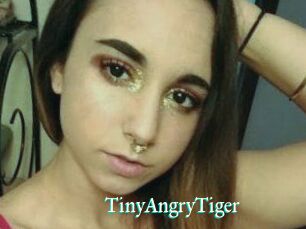 TinyAngryTiger