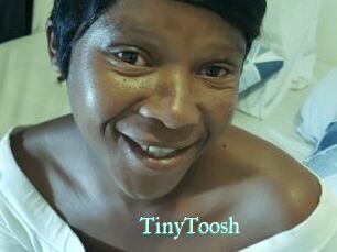 TinyToosh