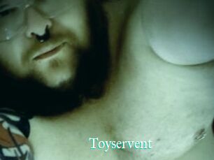 Toyservent