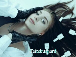 Taiteburnard