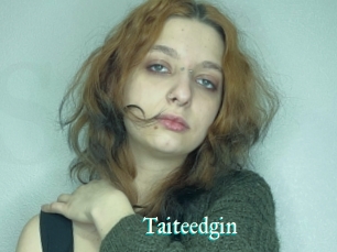 Taiteedgin