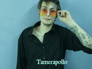 Tamerapollo