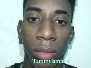 Tammylambert