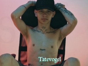Tatevogel