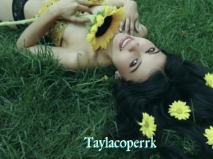Taylacoperrk