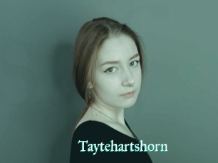 Taytehartshorn