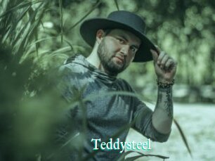 Teddysteel