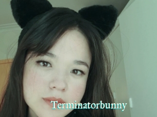 Terminatorbunny