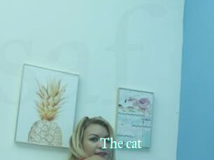 The_cat