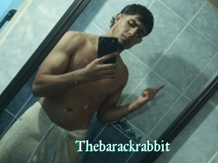 Thebarackrabbit