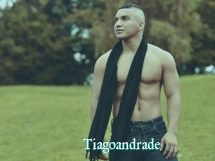 Tiagoandrade