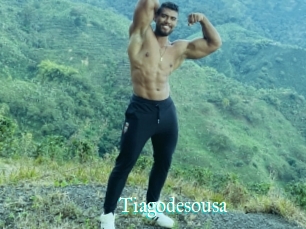 Tiagodesousa