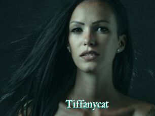 Tiffanycat