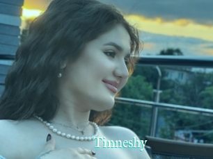 Tinneshy