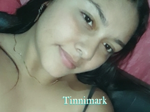 Tinnimark