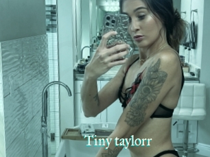 Tiny_taylorr
