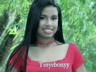 Tinyebonyy