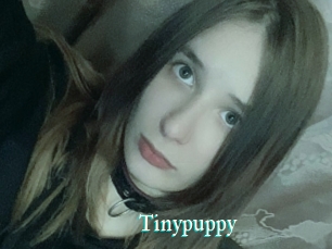 Tinypuppy