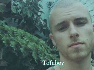 Tofu_boy