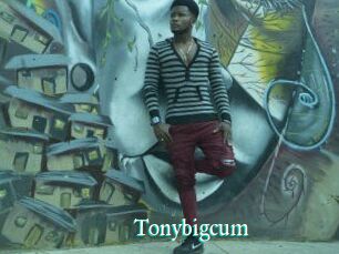 Tonybigcum