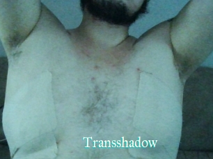 Transshadow
