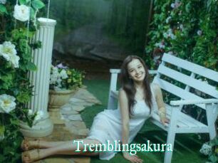 Tremblingsakura