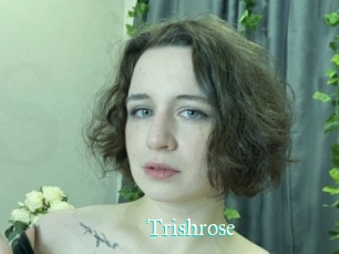 Trishrose