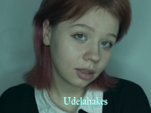 Udelahakes