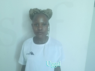 Uggal