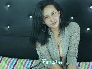VaneAss