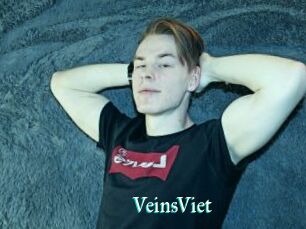 VeinsViet