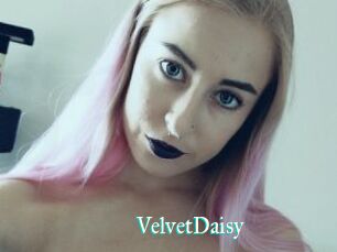 VelvetDaisy