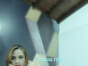 Vanesa_rose