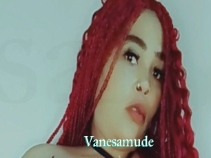 Vanesamude