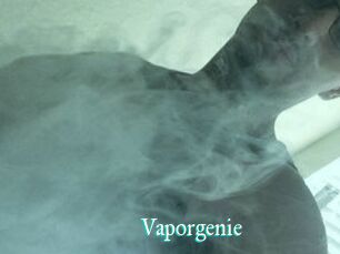 Vapor_genie