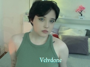 Velvdone