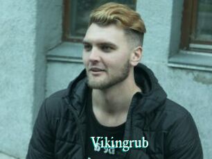 Vikingrub