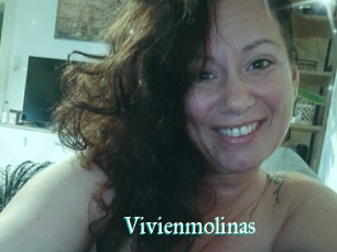 Vivienmolinas