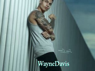 WayneDavis