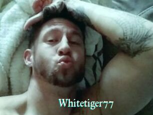 Whitetiger77