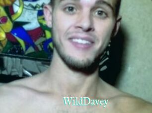 WildDavey
