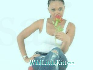 WildLittleKitty22