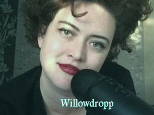 Willowdropp