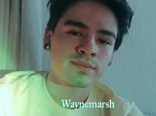 Waynemarsh