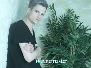 Waynemaster