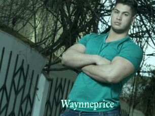 Waynneprice