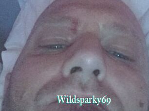 Wildsparky69