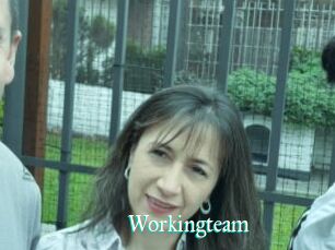 Workingteam